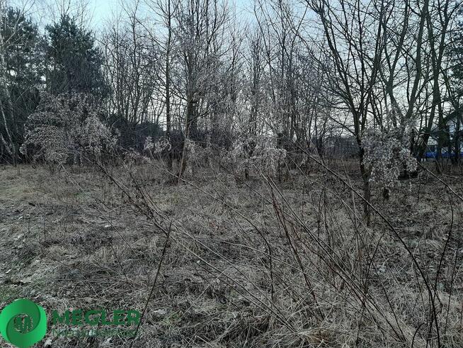 Działka w otulinie lasu