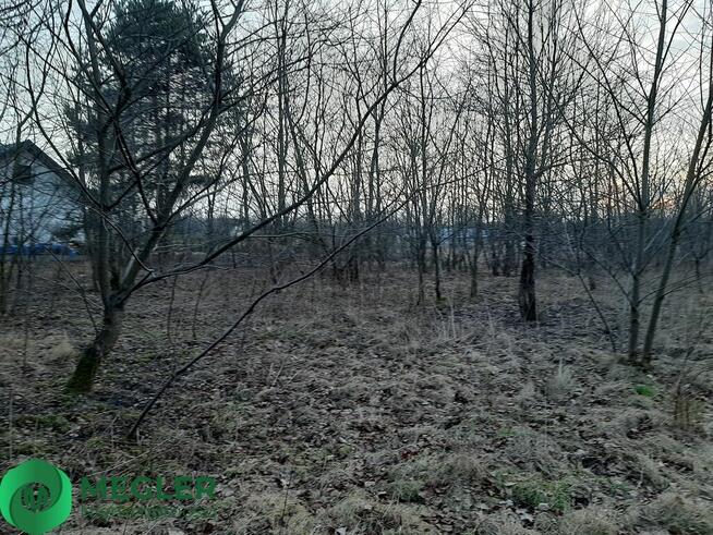 Działka w otulinie lasu