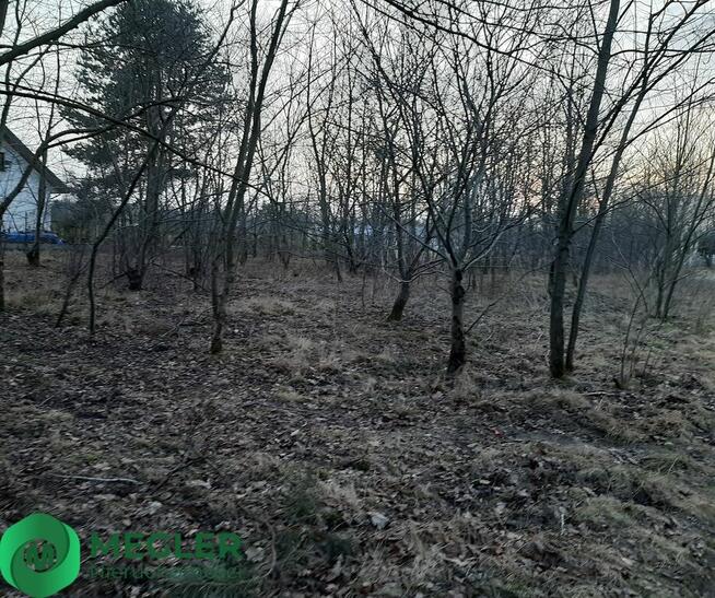 Działka w otulinie lasu