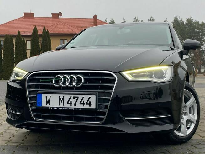 Audi A3 2.0 150KM+BI-XENON+LED+Asystent Poleceń+NAVI+Podgrzew fotele