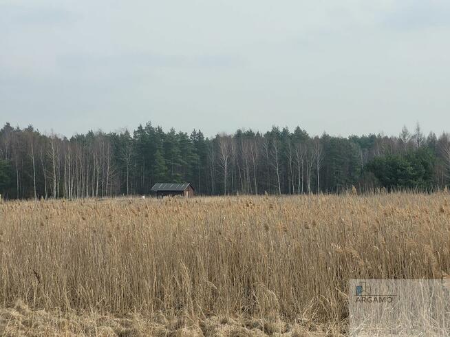 Działka budowlana Ciągowice gm. Łazy, Spacerowa