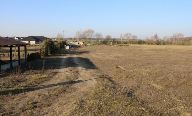 Działka rolno-budowlana Bartodzieje gm. Wągrowiec