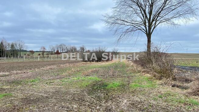 Działka budowlana Lulemino gm. Kobylnica