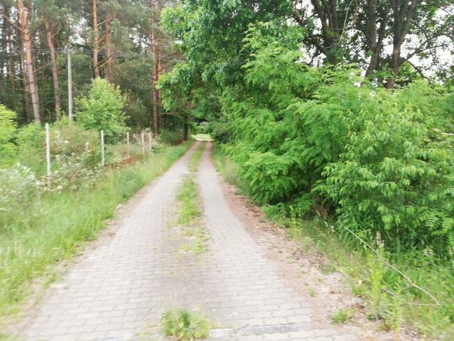 Działka Maszkowo gm. Sianów, Maszkowo