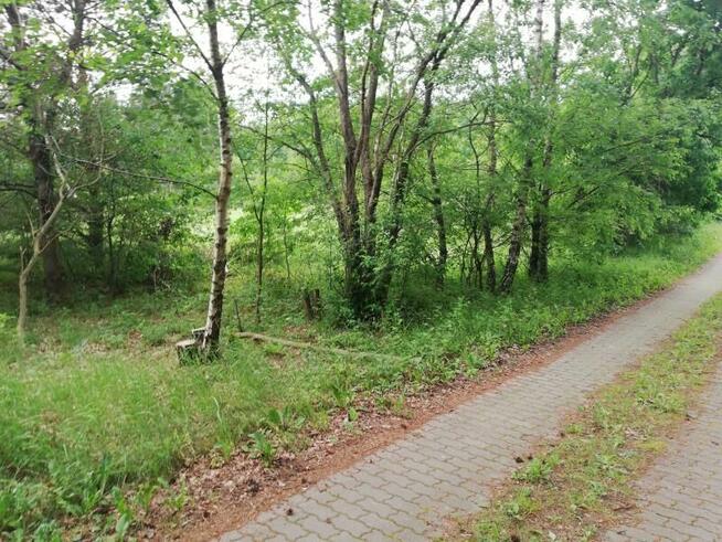 Działka Maszkowo gm. Sianów, Maszkowo