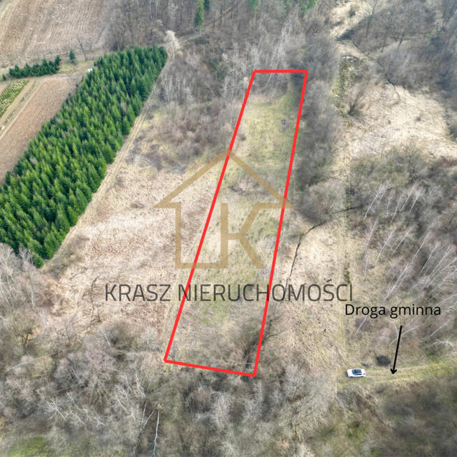 Działka rolna przy lesie-cisza, spokój,sama natura