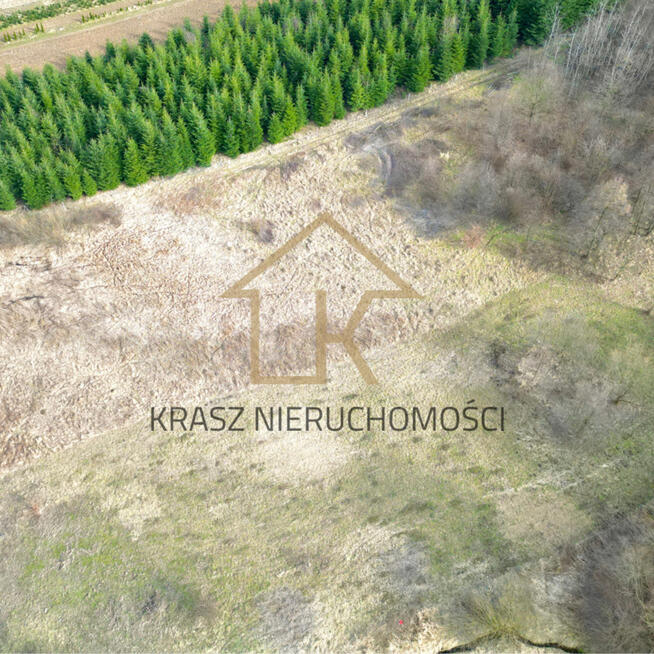 Działka rolna przy lesie-cisza, spokój,sama natura