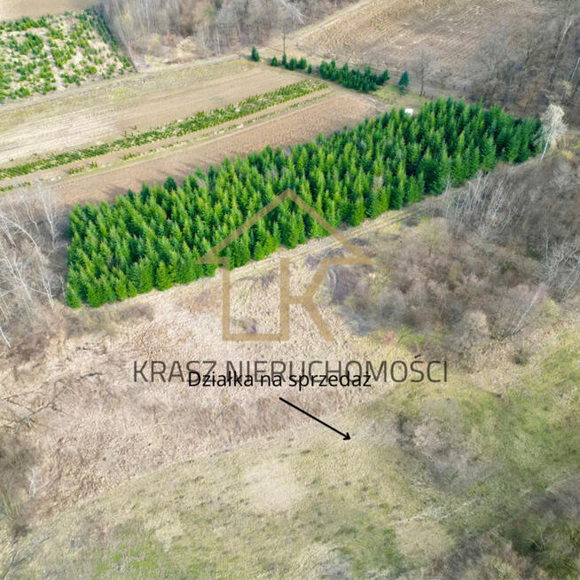 Działka rolna przy lesie-cisza, spokój,sama natura