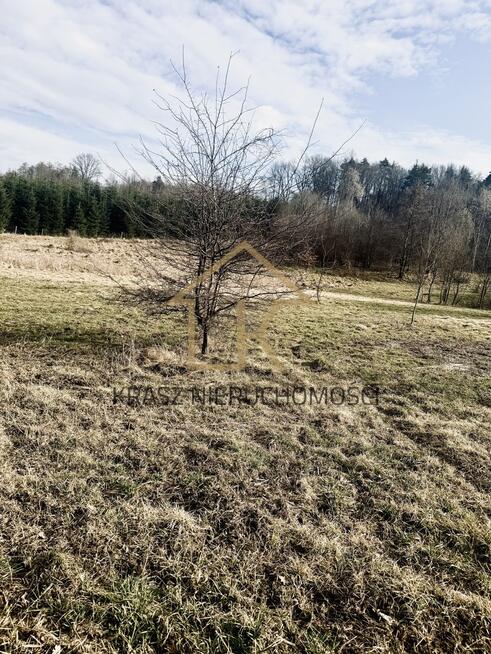 Działka rolna przy lesie-cisza, spokój,sama natura