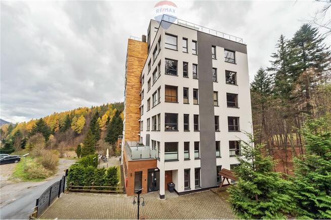 Apartament, strefa Spa, góry, jezioro