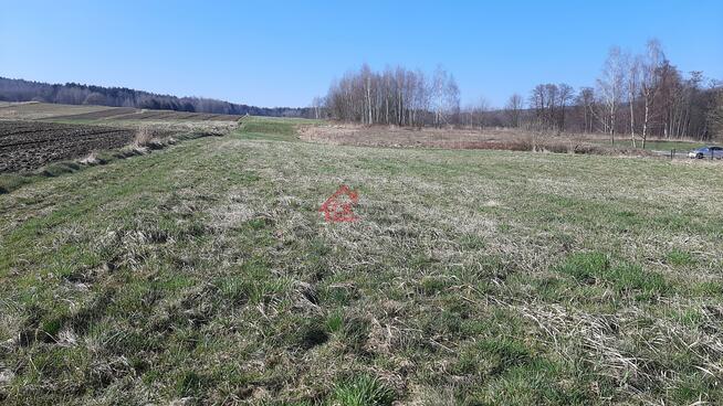 Działka rolno-budowlana Masłów Pierwszy gm. Masłów, Spacerowa