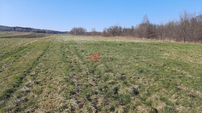 Działka rolno-budowlana Masłów Pierwszy gm. Masłów, Spacerowa