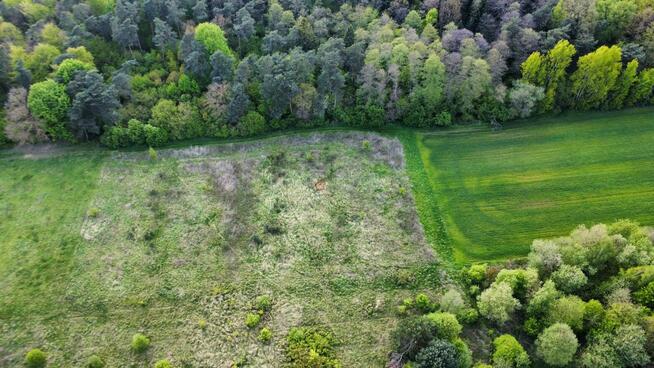 Działka budowlana Kielce, Posłowicka