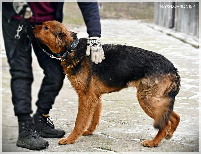 Diora - młoda, przesympatyczna ślicznotka