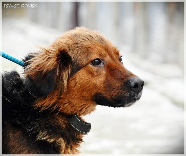 Diora - młoda, przesympatyczna ślicznotka