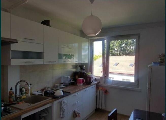 Pokój do wynajęcia oś.Sady