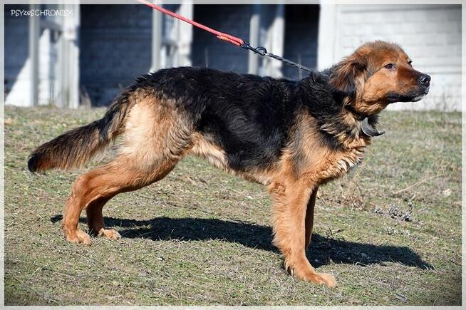 Diora - młoda, przesympatyczna ślicznotka