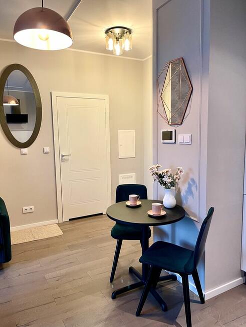 Mieszkanie LUX do wynajęcia Grzybowska 37 2 pokoje