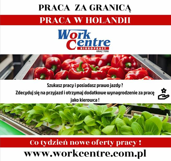 Ogrodnictwo / Rolnictwo / Produkcja – sezon 2025