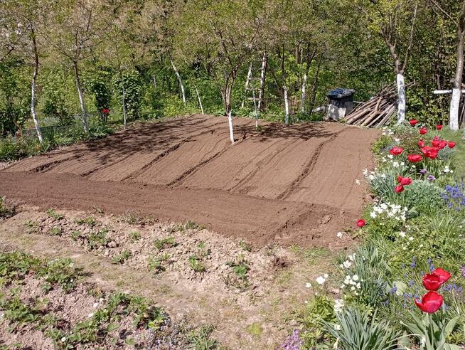 Usługi glebogryzarką