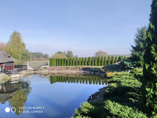 Ogrody, Projekty, Automatyczny System Nawodnienia itd.