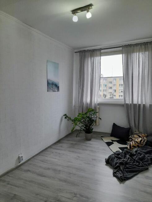 Oleśnica, 5-pokojowe mieszkanie z balkonem do remontu