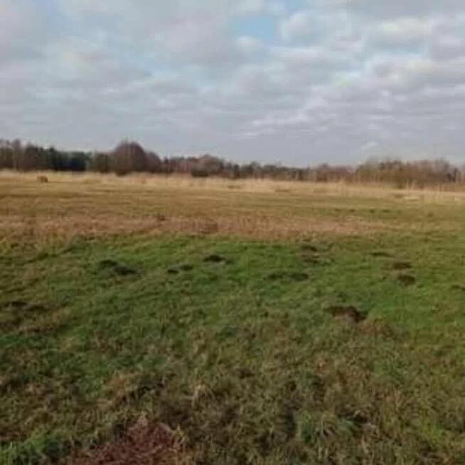 Bezpośrednio :Sprzedam lub wynajmę Działka łąka zieleń