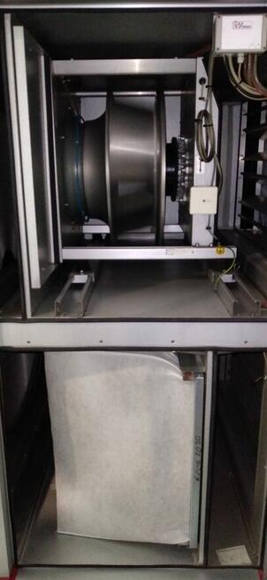 Szczupły energiczny mężczyzna potrzebny do pracy fizycznej