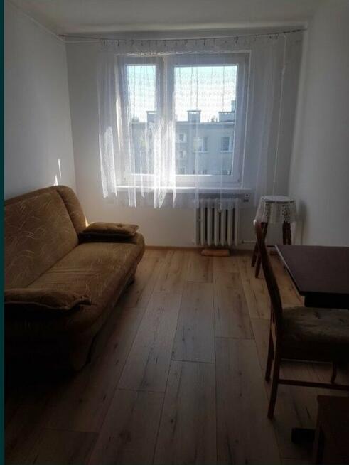 Pokój do wynajęcia oś.Sady