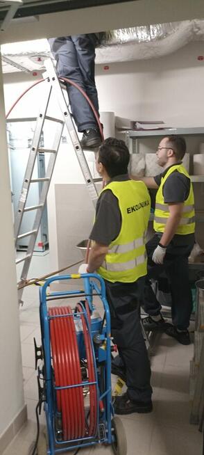 Szczupły energiczny mężczyzna potrzebny do pracy fizycznej