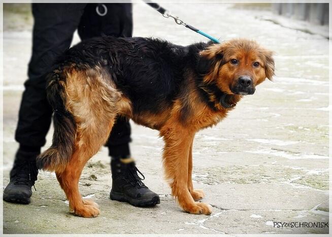 Diora - młoda, przesympatyczna ślicznotka