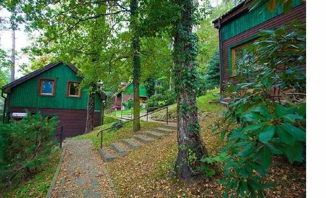 Sprzedaż OSW Złoty Sen w Złotnikach Lubańskich