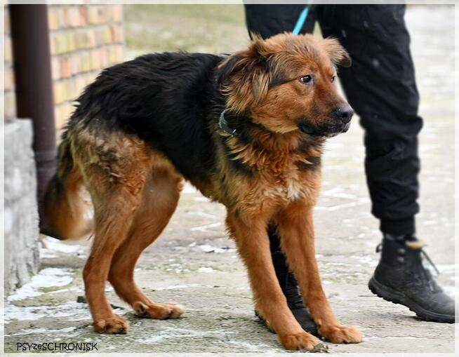 Diora - młoda, przesympatyczna ślicznotka