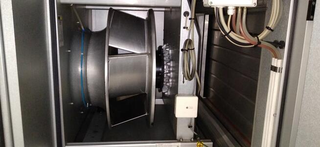 Szczupły energiczny mężczyzna potrzebny do pracy fizycznej