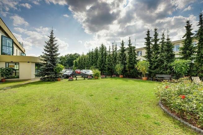 Kratka Geo Ażurowa J - 3/4CM