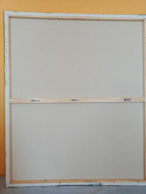 obraz na płótnie wymiary 120x100