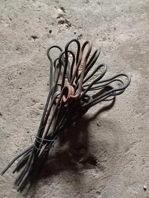 Palec środkowy bizon