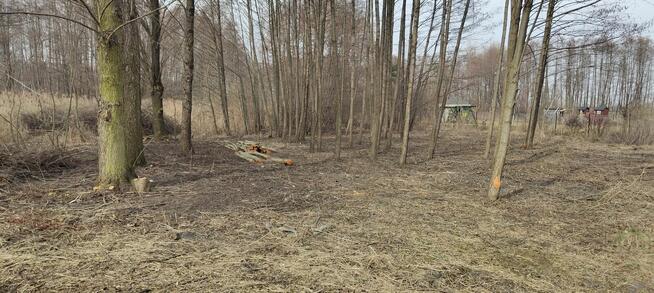 Działka w terenie rekreacyjnym