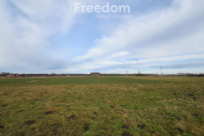 Dom wolnostojący 80 m2, 3 pokoje - duża działka