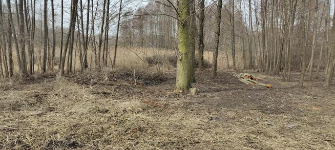 Działka w terenie rekreacyjnym