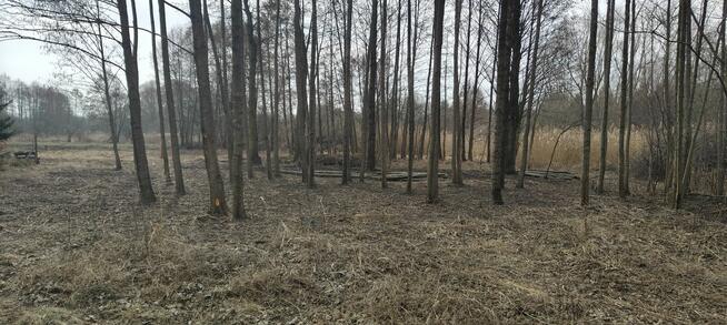 Działka w terenie rekreacyjnym