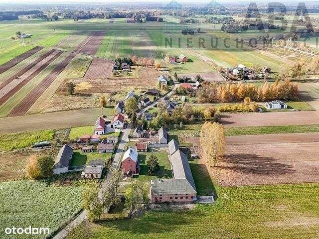 Gospodarstwo rolne, gm. Uniejów - Skotniki