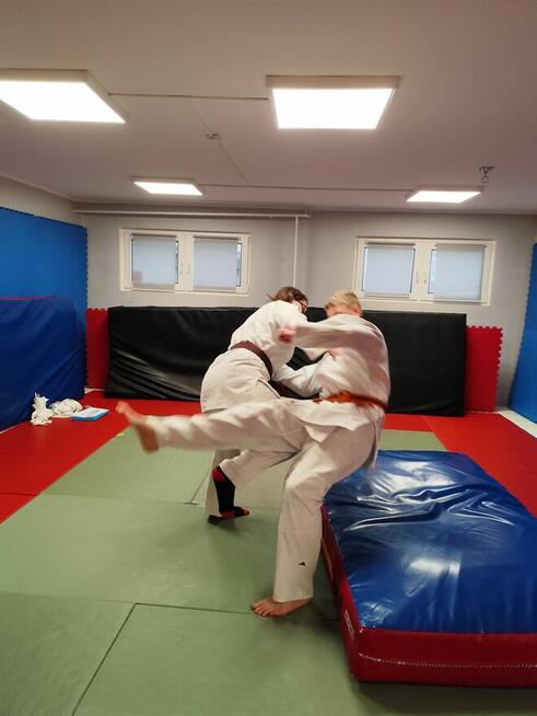 Jiu-Jitsu nowe postanowienie.