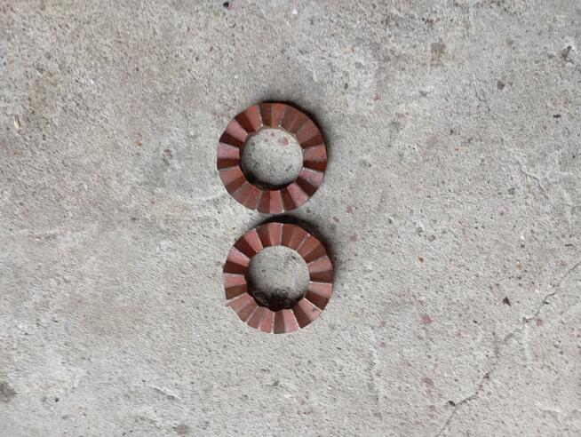 Tarcza sprzęgła przeciążeniowego bizon