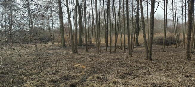 Działka w terenie rekreacyjnym