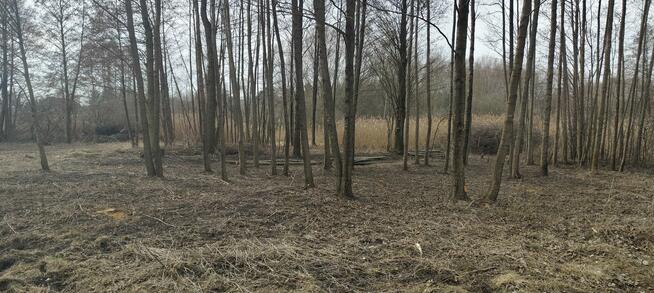 Działka w terenie rekreacyjnym