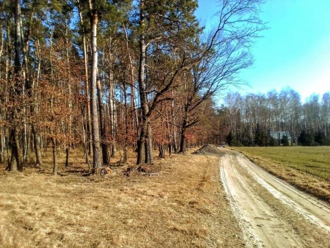 Sprzedam DZIAŁKĘ z MEDIAMI
