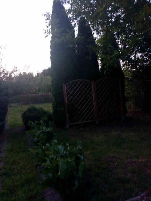 Działka ROD w Goleniowie