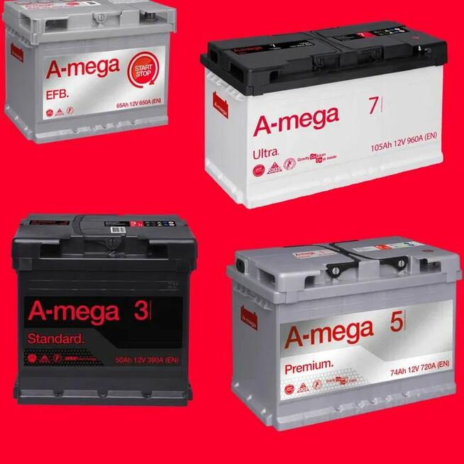 Akumulator 12V 140Ah 800A Green Line ZAP Batteries Radom