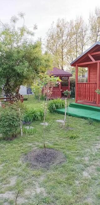 Sprzedam działkę ROD